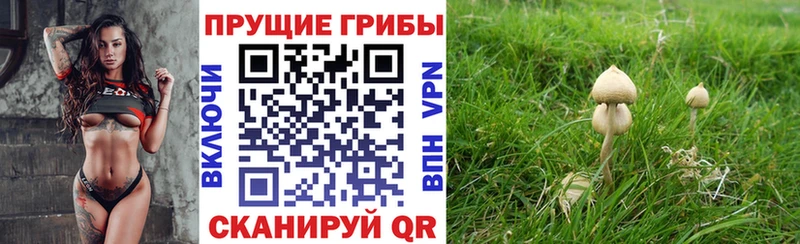 Псилоцибиновые грибы мухоморы  Тында 